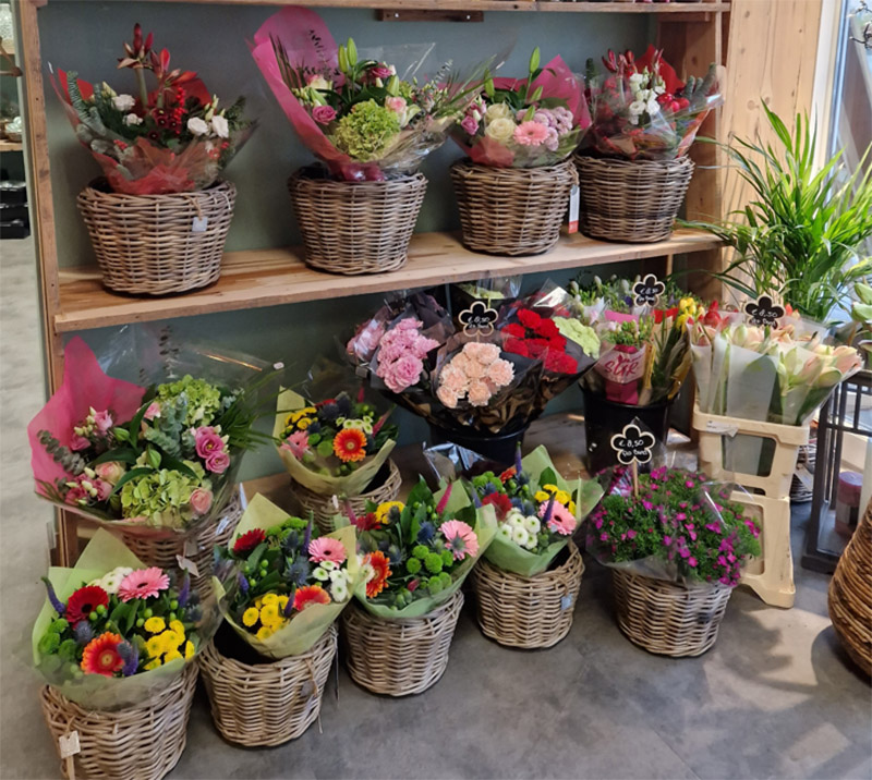 Das Bild zeigt verschiedene Blumensträucher, die in geflochtenen Körben stehen.